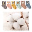 1 Pcs Children's Socks Cute Cartoon Dolls Baby Socks - Hedgehog